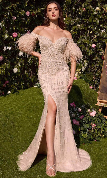 white christmas dresses Ladivine 9312 - Feather Detailed Sleeveless Prom Gown 6 / Black main image 0