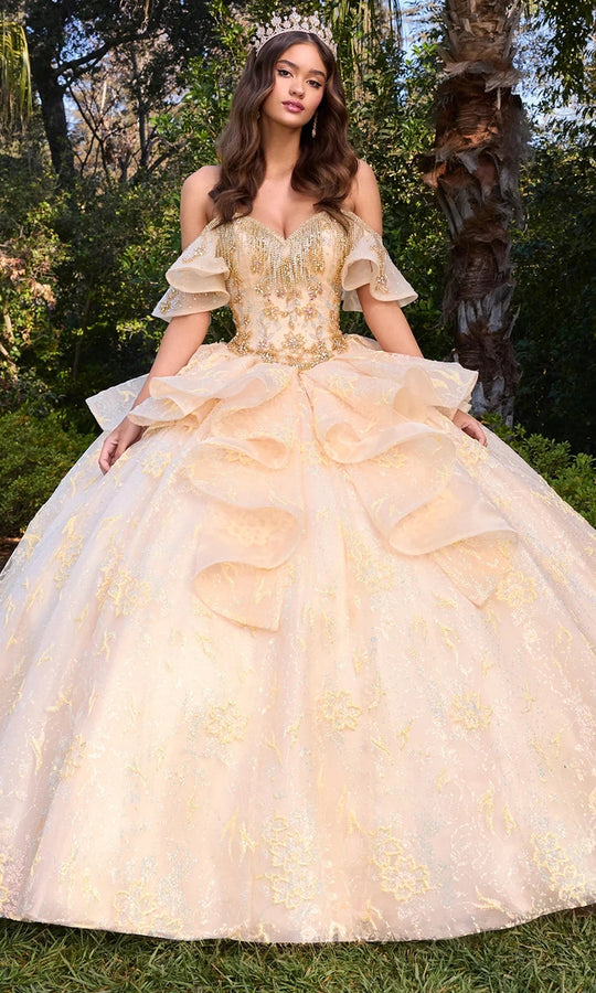 Ashley Lauren 30102 - Glitter Lace Organza Ruffle Ballgown