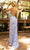 Butterfly Appliqued Sheath Prom Gown 3901 Prom Dresses
