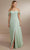 Christina Wu Celebration 22162 - Chiffon Gown Special Occasion Dress 0 / Meadow