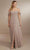 Christina Wu Celebration 22162 - Chiffon Gown Special Occasion Dress 0 / Mink
