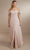 Christina Wu Celebration 22162 - Chiffon Gown Special Occasion Dress