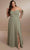 Christina Wu Celebration 22162 - Long Chiffon Evening Gown Special Occasion Dress 0 / Sage