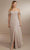 Christina Wu Celebration 22162 - Long Chiffon Gown Special Occasion Dress