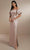 Christina Wu Celebration 22163 - Column Gown Special Occasion Dress 0 / Frost Rose