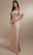 Christina Wu Celebration 22163 - Long Evening Gown Special Occasion Dress 0 / Spritz