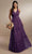 Christina Wu Celebration 22170 - A-line Prom Dress Special Occasion Dress 0 / Royal Purple