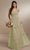 Christina Wu Celebration 22170 - Long Prom Dress Special Occasion Dress 0 / Meadow