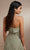 Christina Wu Celebration 22172 - Chiffon Prom Dress Special Occasion Dress