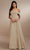 Christina Wu Celebration 22172 - Long Prom Dress Special Occasion Dress 0 / Spritz