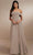 Christina Wu Celebration 22172 - Long Prom Dress Special Occasion Dress 0 / Taupe
