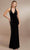 Christina Wu Celebration 22174 - Long Evening Dress Evening Dress