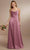 Christina Wu Celebration 22177 - Sleeveless Cowl Neck Prom Dress Prom Dresses 0 / Canyon