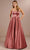 Christina Wu Celebration 22191 - Sleeveless Gown Special Occasion Dress 0 / Marsala