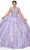 Cinderella Couture 8030J - Sweetheart Floral Appliqued Ballgown Special Occasion Dress XS / Lilac