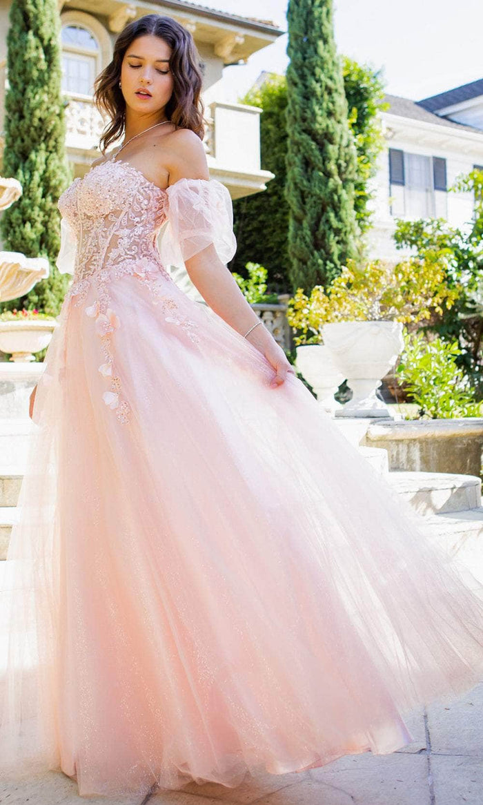 Cinderella Couture 8042J - Sweetheart Appliqued A-Line Prom Gown Special Occasion Dress XS / Blush