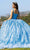Cinderella Couture 8110J - Sleeveless Embroidered Ballgown Ball Gowns