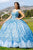 Cinderella Couture 8110J - Sleeveless Embroidered Ballgown Special Occasion Dress