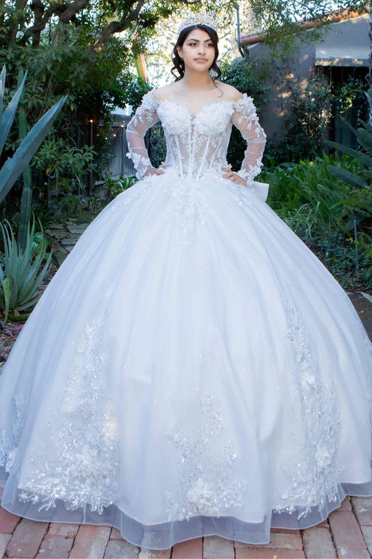 Cinderella Couture 8325J - Floral Accent Sheer Long Sleeve Ballgown