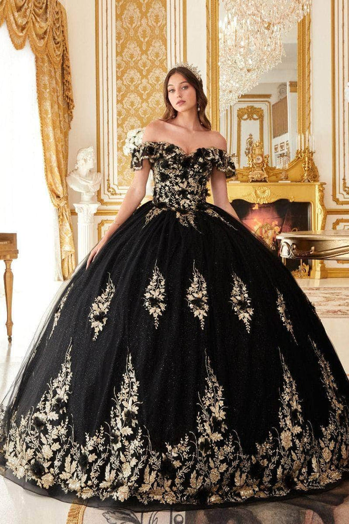 designer daddy cinderella dress Designer Daddy Transformation Dress!!!