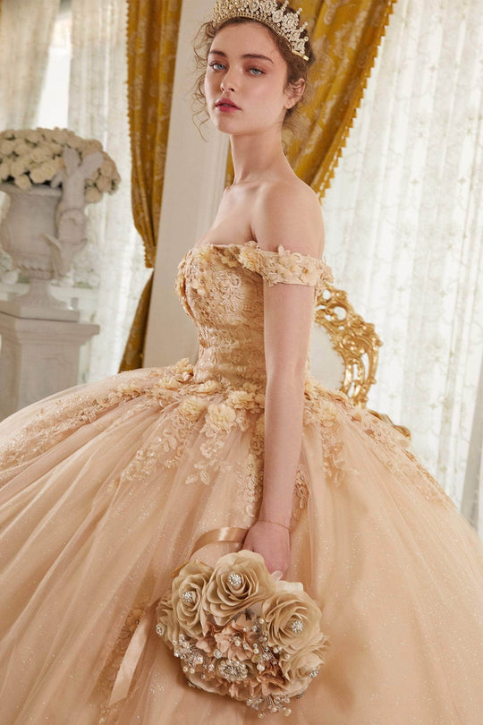 Cinderella Divine 15702 - Ballgown with Delicate Floral Appliques