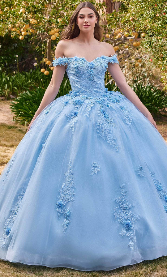 Cinderella Divine 15702 - Ballgown with Delicate Floral Appliques