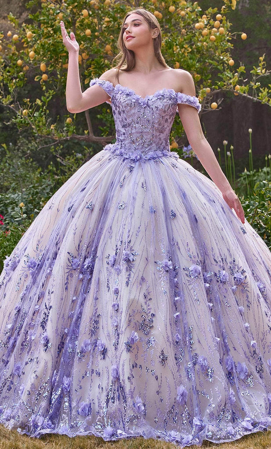 Cinderella Divine 15704 - Floral Appliqué Sweetheart Ballgown
