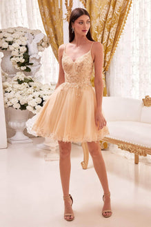 Cinderella Divine CD0213 - Sleeveless with Embroidery Cocktail Dress - XS / Champagne