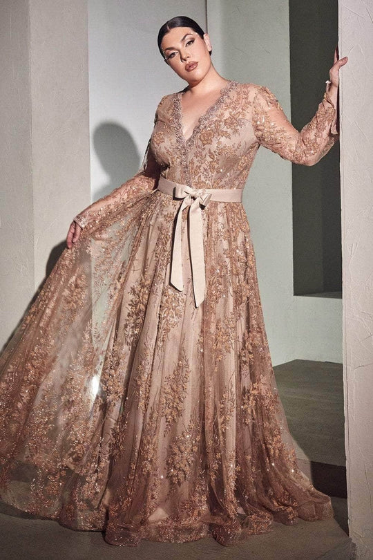 Cinderella Divine CD233C - Long sleeve A-Line Long Dress