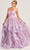 Colette By Daphne CL5273 - Flounce Skirt Prom Dress Prom Dresses 00 / Light Purple/Multi