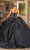 Dancing Queen 1765 - Floral Beaded Ballgown Ball Gowns