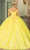 Dancing Queen 1775 - Sweetheart Floral Appliqued Ballgown Ball Gowns