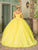Dancing Queen 1775 - Sweetheart Floral Appliqued Ballgown Special Occasion Dress