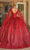 Dancing Queen 1776 - Bell Sleeve Glitter Ballgown Ball Gowns