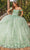 Dancing Queen 1788 - Floral Ornate Ballgown Special Occasion Dress XS / Sage