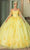 Dancing Queen 1788 - Floral Ornate Ballgown Special Occasion Dress XS / Yellow