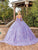 Dancing Queen 1808 - Floral Appliqued V-Neck Ballgown Special Occasion Dress