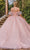 Dancing Queen 1810 - Floral Applique Ballgown Ball Gowns