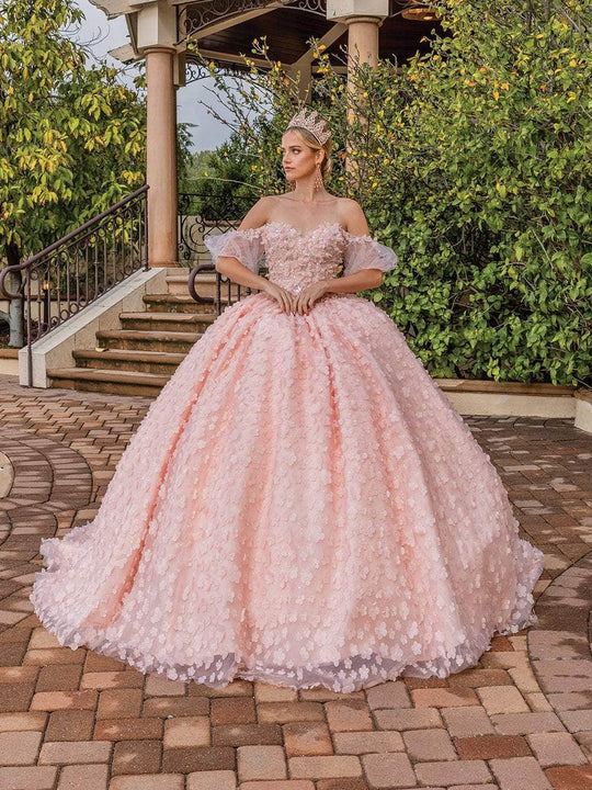 Dancing Queen 1810 - Floral Applique Ballgown