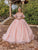Dancing Queen 1810 - Floral Applique Ballgown Special Occasion Dress