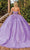 Dancing Queen 1813 - Strapless Applique Ballgown Ball Gowns