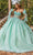 Dancing Queen 1813 - Strapless Applique Ballgown Ball Gowns XS / Mint