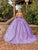 Dancing Queen 1813 - Strapless Applique Ballgown Special Occasion Dress