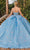 Dancing Queen 1815 - Butterfly Applique Ballgown Ball Gowns