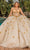 Dancing Queen 1815 - Butterfly Applique Ballgown Ball Gowns XS / Champagne/Gold