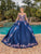 Dancing Queen 1816 - Long Sleeve Floral Ballgown Special Occasion Dress