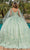 Dancing Queen 1819 - Illusion Sleeve Floral Ballgown Ball Gowns