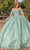 Dancing Queen 1820 - Sweetheart Sash Ballgown Ball Gowns XS / Sage