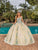 Dancing Queen 1823 - Butterfly Appliqued Sweetheart Ballgown Special Occasion Dress