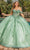 Dancing Queen 1826 - Off Shoulder Corset Ballgown Special Occasion Dress XS / Sage